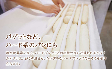 キタノカオリブレンド 500g（250g×2） 北海道 小麦粉