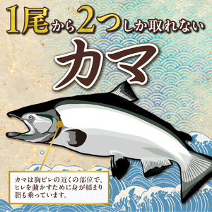 天然キングサーモンカマ