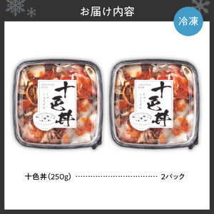 【北海道の海鮮丼】十色丼
