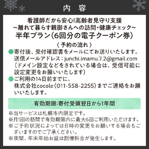 看護師だから安心！高齢者見守り支援?離れて暮らす親御さんへの訪問・健康チェック?半年プラン