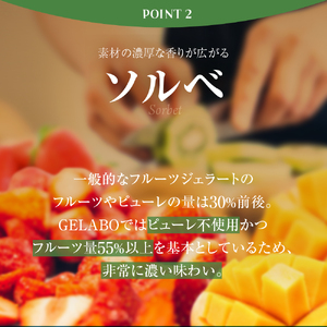 ジェラート 札幌市ふるさと納税限定フレーバー入りセット　8個