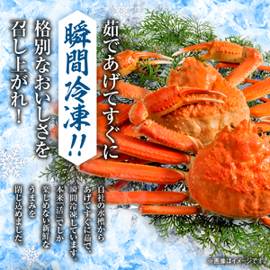 【茹でたて瞬間冷凍】ズワイガニ 650g前後×2尾 ズワイ