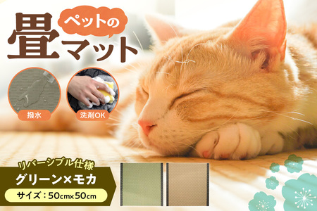 ペットの畳マット 50 グリーン×モカ