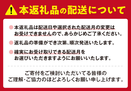 【2026年2月発送】◆オンラインでのお取り寄せは札幌市ふるさと納税だけ!◆TVで話題!札幌千秋庵 生ノースマン 4個入り 2箱 合計8個 銘菓 パイまんじゅう 菓子 北海道 人気 スイーツ