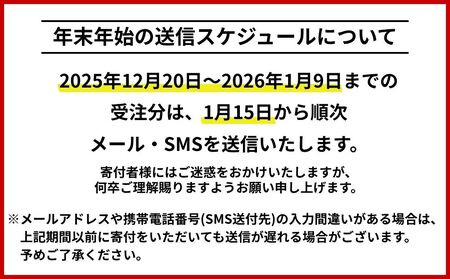 北海道札幌市 日本旅行 地域限定旅行クーポン30,000円分(Eメール発行)