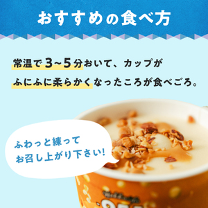 951アイスクリーム 48個セット 北海道 アイス スイーツ