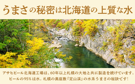 【最短翌日発送】アサヒ生ビール≪マルエフ≫<350ml>24缶 2ケース 北海道工場製造