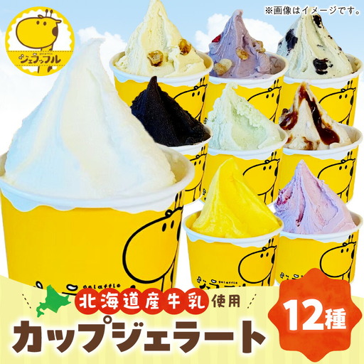 カップジェラートセット（12種類）