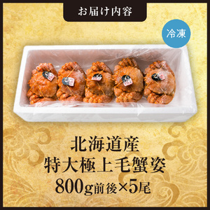 特大極上毛蟹姿　800g前後×5尾セット 蟹 けがに 毛ガニ