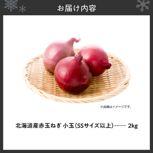 赤玉ねぎ 北海道産 小玉 2kg SSサイズ以上 たまねぎ