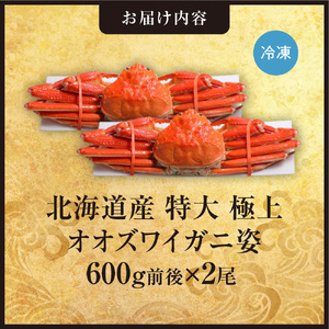 北海道産特大極上オオズワイガニ姿　600g前後×2尾セット | 蟹 かに