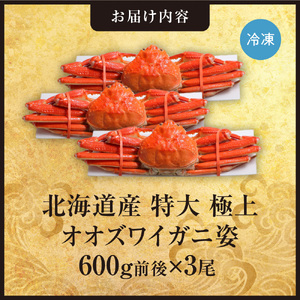 北海道産特大極上オオズワイガニ姿　600g前後×3尾セット | 蟹 かに