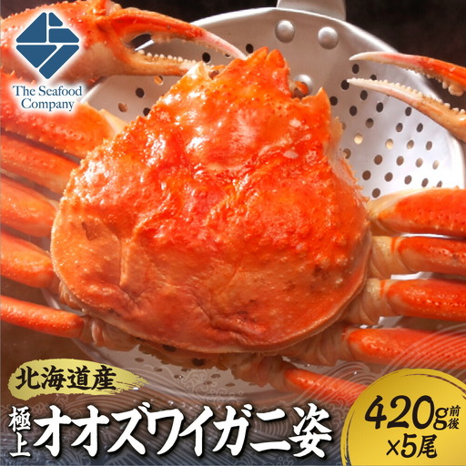 北海道産極上オオズワイガニ姿　420g前後×5尾セット | 蟹 かに 9,375円