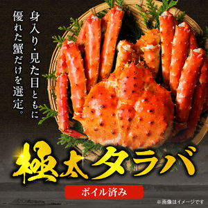 ボイルタラバ 約800g×2肩 北海道 札幌市 蟹 タラバガニ