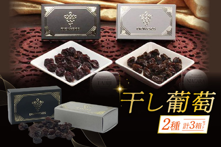 北海道完全無添加干し葡萄 DIONYSOS2種セット 計3箱 | レーズン 干しブドウ 葡萄