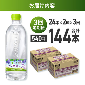 【３ヶ月定期便】い・ろ・は・す ハスカップ　540mlPET×48本｜コカ・コーラ 飲料 ドリンク 飲み物 水 北海道 札幌市
