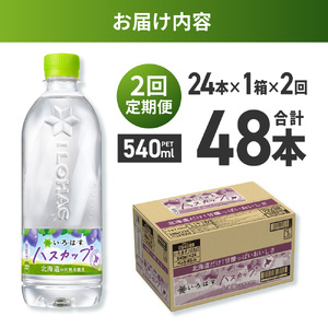 【２ヶ月定期便】い・ろ・は・す ハスカップ　540mlPET×24本｜コカ・コーラ 飲料 ドリンク 飲み物 水 北海道 札幌市