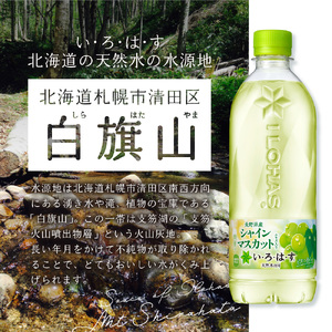 【３ヶ月定期便】い・ろ・は・す シャインマスカット540mlPET×24本｜コカ・コーラ 飲料 ドリンク 飲み物 水 北海道 札幌市