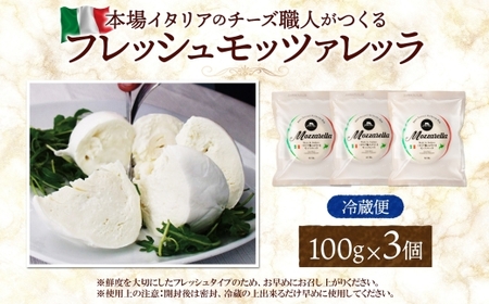 モッツァレラ 100g×3｜チーズ モッツァレラ 北海道 札幌市