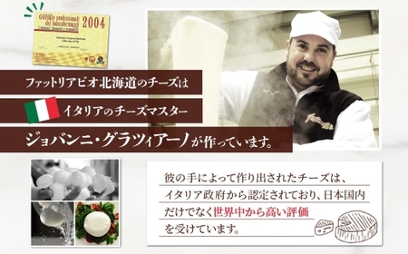 カチョカヴァッロ 500g×2｜チーズ 北海道 札幌市