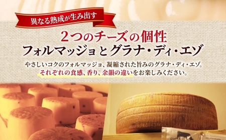 熟成チーズ2種食べ比べ | ファットリアビオ北海道 フォルマッジョ グラナディエゾ セット 北海道 札幌市