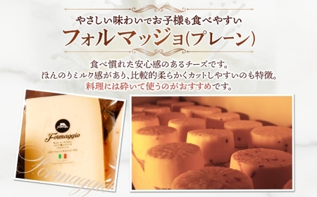 熟成チーズ2種食べ比べ | ファットリアビオ北海道 フォルマッジョ グラナディエゾ セット 北海道 札幌市