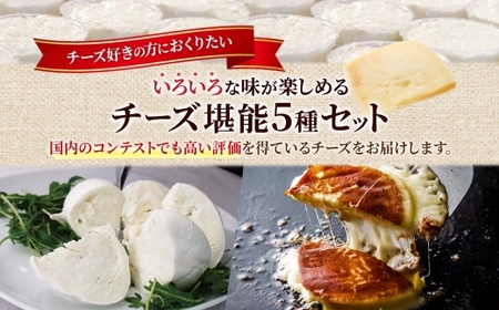 【ファットリアビオ北海道チーズ】本格チーズ 堪能5種セット