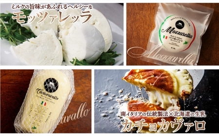 【ファットリアビオ北海道チーズ】本格チーズ 堪能5種セット