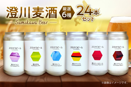 澄川麦酒厳選24本セット｜地ビール クラフトビール ビール 晩酌 北海道 札幌市