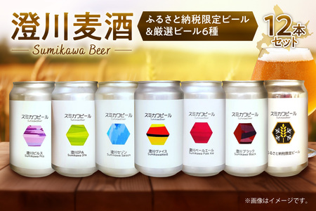 【先行予約】澄川麦酒ふるさと納税限定ビール6本＋厳選6本　12本セット | 地ビール クラフトビール ビール 晩酌 北海道 札幌市