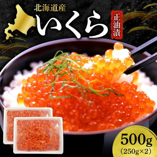 いくら正油漬　250g×2｜イクラ 魚卵 醤油漬け 北海道 札幌市