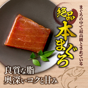 漬け本まぐろ 100g×5パック | マグロ 海鮮 丼 北海道 札幌市