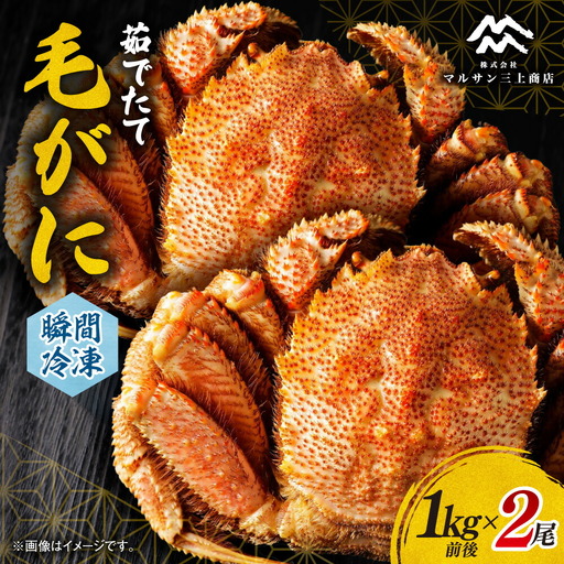 茹でたて毛がに(瞬間冷凍）1kg前後×2尾｜北海道産 毛ガニ 蟹 茹でたて 北海道 札幌市