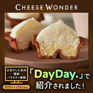 【2026年4月発送】CHEESE WONDER 6個入 | チーズケーキ スイーツ 北海道 札幌市