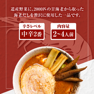 奥芝商店・ほどけるくちどけ！トロトロ豚角煮スープカレー【2~4人前入り】　北海道 レトルト 人気 札幌