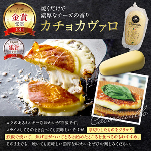 ★金賞受賞★ ファットリアビオ 北海道 イタリア職人が作る チーズ セット カチョカヴァロ と モッツァレラ チーズ 2種 計600g 冷蔵便 ブロック 乳製品 お取り寄せ グルメ 食べ比べ 北海道 札幌市