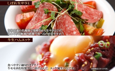 しばれ生ハム 4種 オードブル セット 生ハム サラミ ユッケ 豚肉 ブロック スライス 燻製 おつまみ パーティー 冷凍 ギフト バルナバハム バルナバフーズ 送料無料 北海道 札幌市