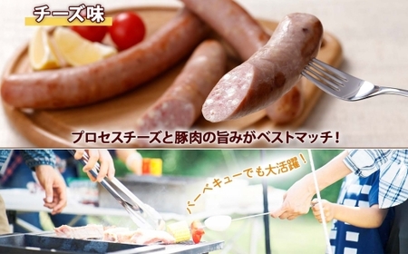 メガフランクソーセージ チーズ 計10本 セット 冷凍 手作り ロングサイズ 豚 豚肉 おかず バーベキュー BBQ アウトドア キャンプ お取り寄せ 惣菜 おつまみ 国内加工 加工肉 備蓄 小分け 個包装 ストック ナカノフーズ 産地直送 送料無料 北海道 札幌市