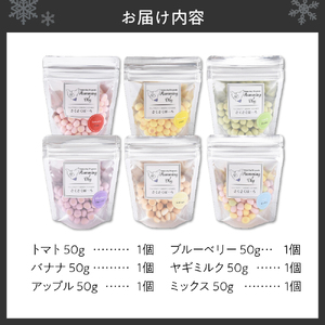 Humming Dog さくさくぼーろ 6個セット ペット おやつ ペットフード 愛犬