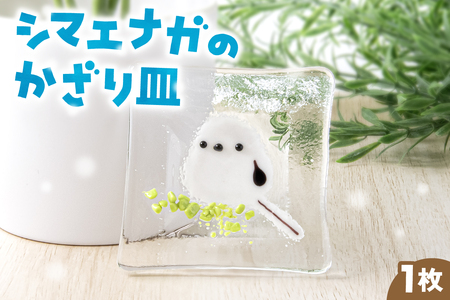 シマエナガの飾り皿