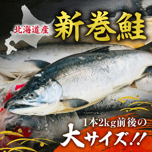 新巻鮭 切身真空加工 1本2kg前後 鮭 切り身