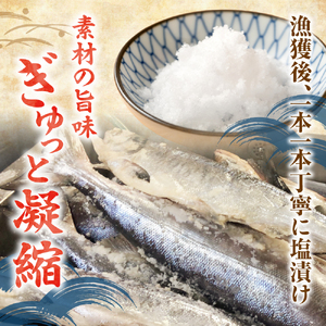 新巻鮭 切身真空加工 1本2kg前後 鮭 切り身