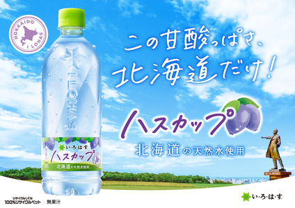 い・ろ・は・す ハスカップ 540ml PET×48本 いろはす 北海道限定 フレーバー ミネラルウォーター 飲料水 ローカロリー ペットボトル 箱買い まとめ買い 計48本 水 飲料 札幌工場製造 札幌市