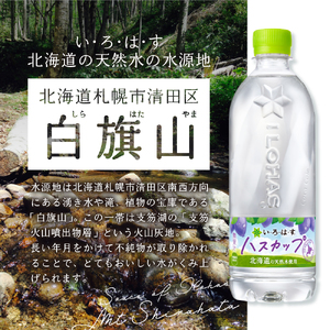 い・ろ・は・す ハスカップ 540ml PET×48本 いろはす 北海道限定 フレーバー ミネラルウォーター 飲料水 ローカロリー ペットボトル 計48本 水 飲料 札幌工場製造 札幌市