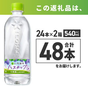 い・ろ・は・す ハスカップ 540ml PET×48本 いろはす 北海道限定 フレーバー ミネラルウォーター 飲料水 ローカロリー ペットボトル 箱買い まとめ買い 計48本 水 飲料 札幌工場製造 札幌市