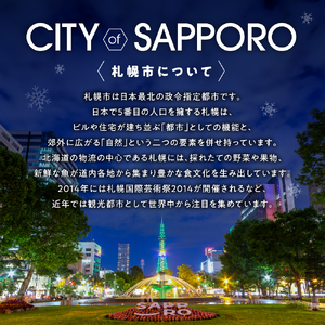 コカ・コーラ (北海道限定デザイン) 250ml 缶 × 30本 炭酸飲料 ミニ缶 飲み切り サイズ 限定パッケージ 札幌工場製造 贈答 ご当地 ジュース ソフトドリンク 札幌市