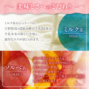 【定期便】幸せな牛のミルクからできたジェラート パティシエおまかせ6個セット×4回 アイス ジェラート ミルク 無添加