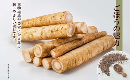 ごぼう茶　ティーバッグ　2.3g×20包 