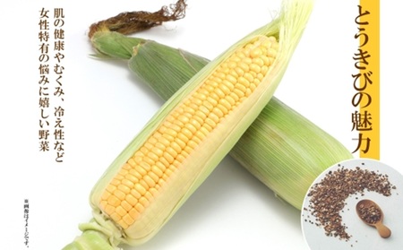 とうきび茶 ティーバッグ 2.2g×20包