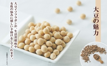 だいず茶　ティーバッグ　5g×20包 